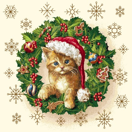 CATGIFT_LX-47X47